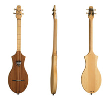 Load image into Gallery viewer, Seagull 042517 M4 Mahogany Merlin Dulcimer Electric EQ MADE In CANADA - D